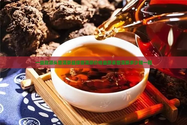一益庭源头普洱茶