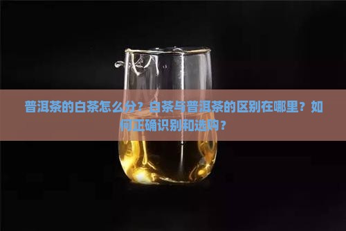 普洱茶的白茶怎么分