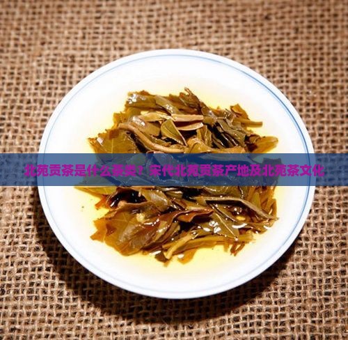 北苑贡茶是什么茶类