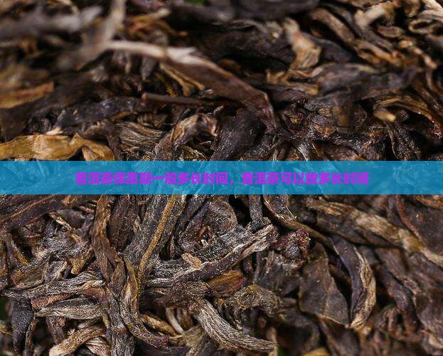 买来的熟普洱茶可以放多久