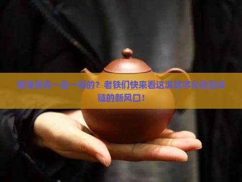 普洱茶有一品一码的