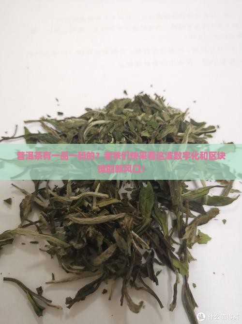 普洱茶有一品一码的
