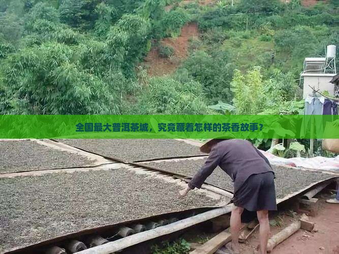 全国最大普洱茶城