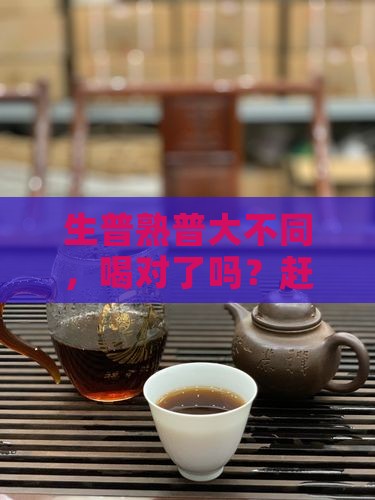 生普和熟普功效有什么区别