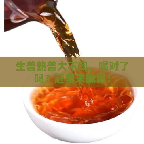 生普和熟普功效有什么区别