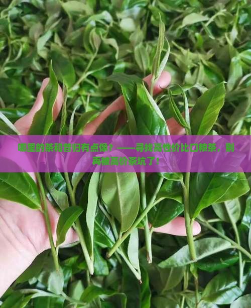 哪里的茶和昔归有点像
