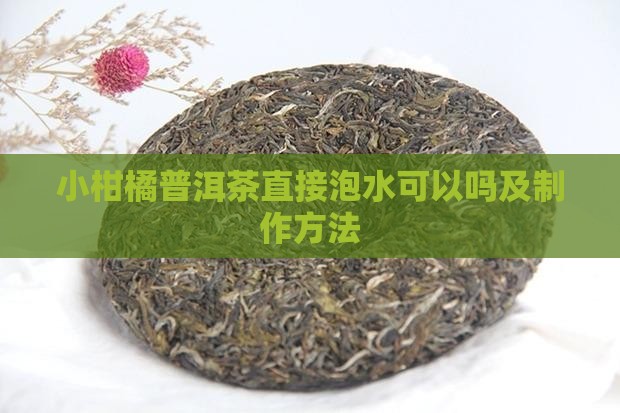 小柑橘普洱茶直接泡