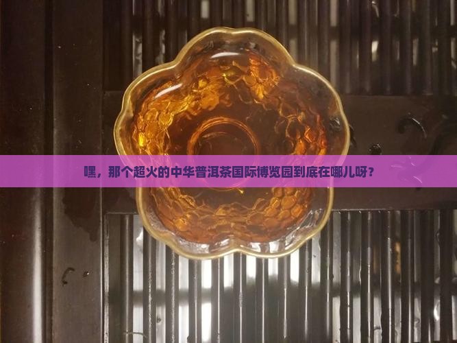中华普洱茶国际博览园在哪里