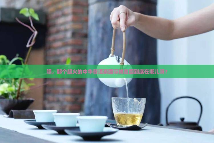 中华普洱茶国际博览园在哪里