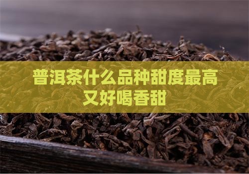 普洱茶什么品种甜