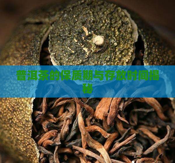 普洱茶淘宝保质期