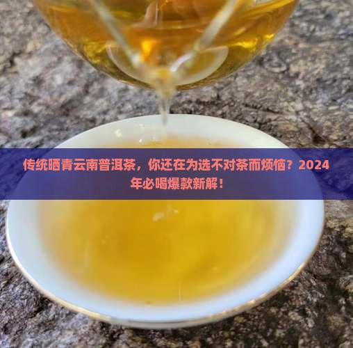 传统晒青云南普洱茶