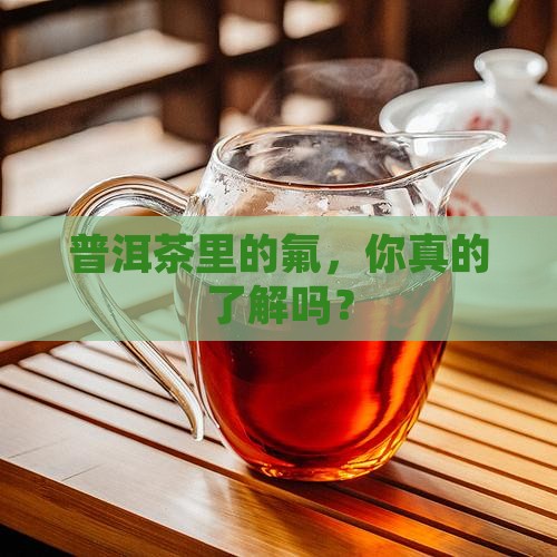 普洱茶中的氟化物