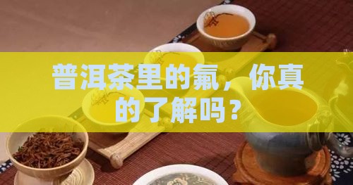普洱茶中的氟化物