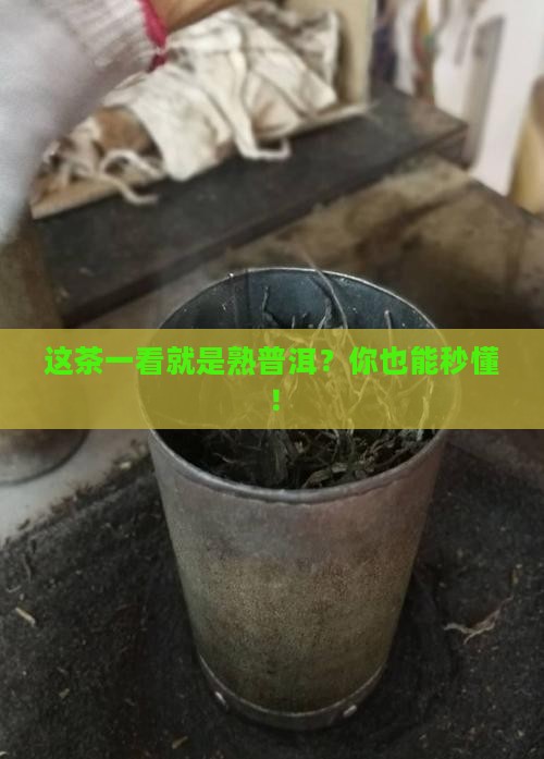 普洱茶怎么看是熟的