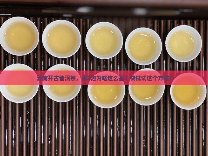 云南开古普洱茶