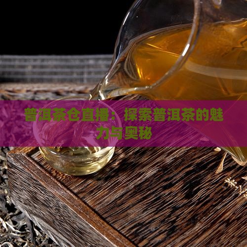 陈氏普洱茶仓直播