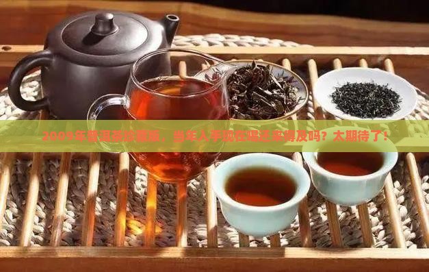 09年普洱茶珍藏版