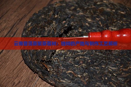 云南普洱茶紫茶苞树