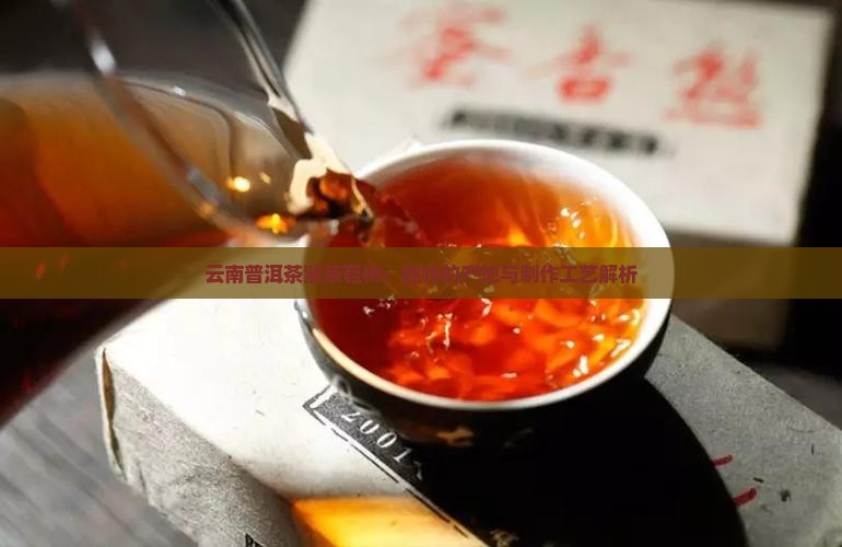 云南普洱茶紫茶苞树