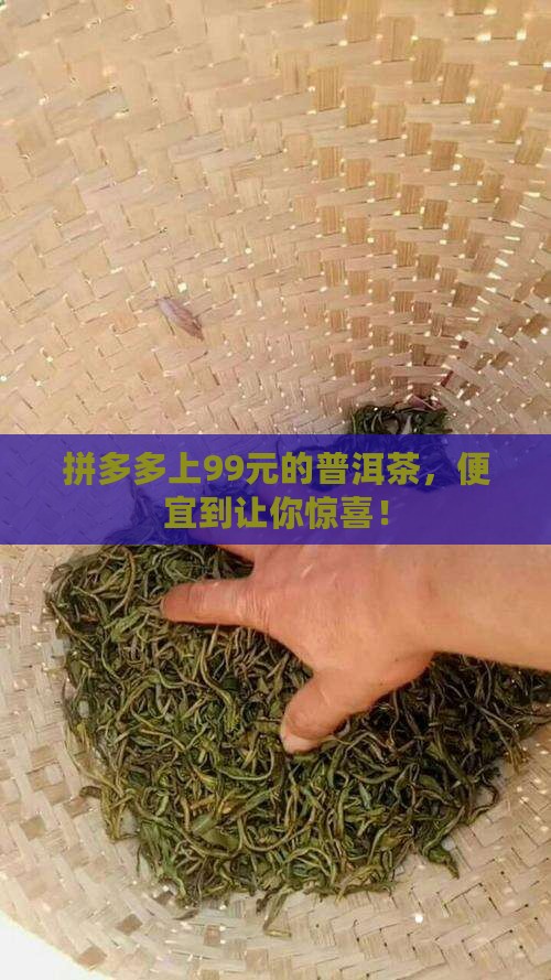 拼多多上99元的普洱茶