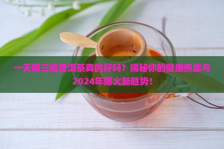 一天喝三瓶普洱茶