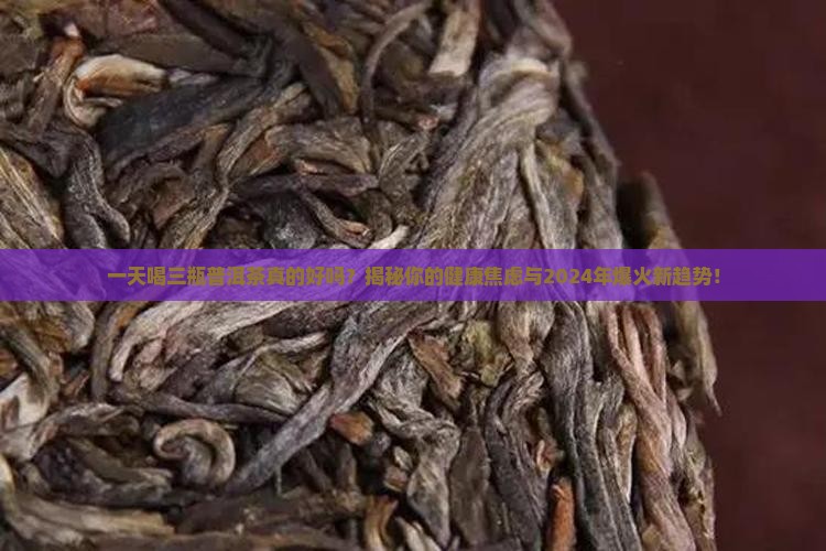 一天喝三瓶普洱茶