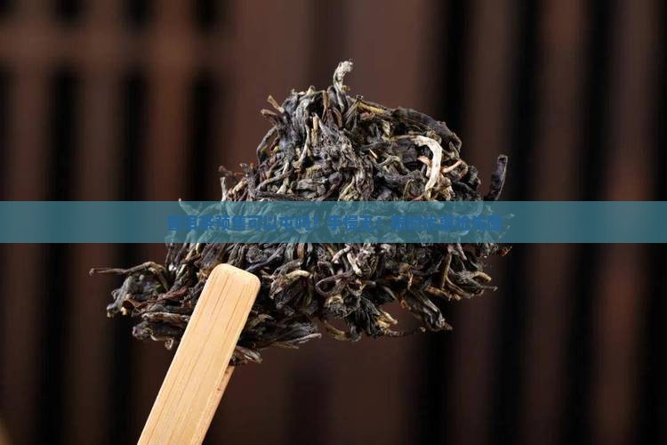 普洱茶预售可以屯吗