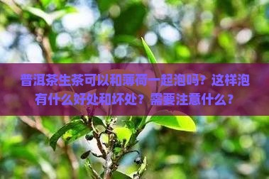 普洱茶生茶和薄荷一起泡