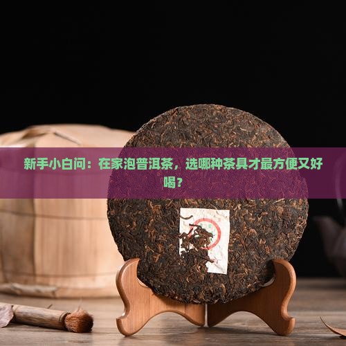 普洱茶在哪个地方泡好茶