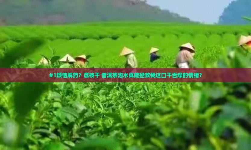 荔枝干和普洱茶泡水