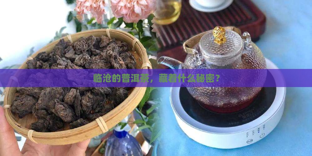 临沧市普洱茶区