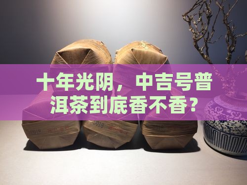 中吉号普洱茶十年