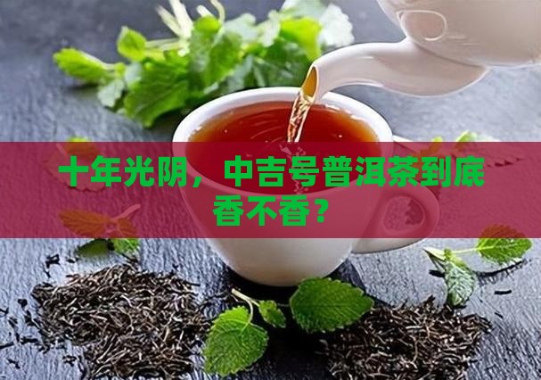 中吉号普洱茶十年