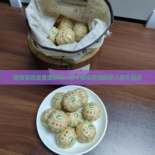 大叶种晒青茶是普洱茶吗