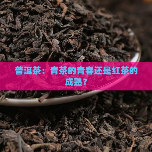 云南普洱茶是青茶还是红茶