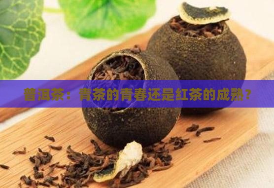 云南普洱茶是青茶还是红茶