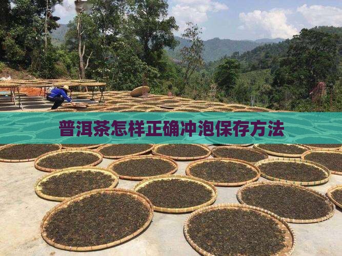 普洱茶怎样正确冲泡保存