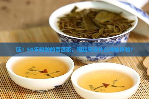50年树龄的普洱茶