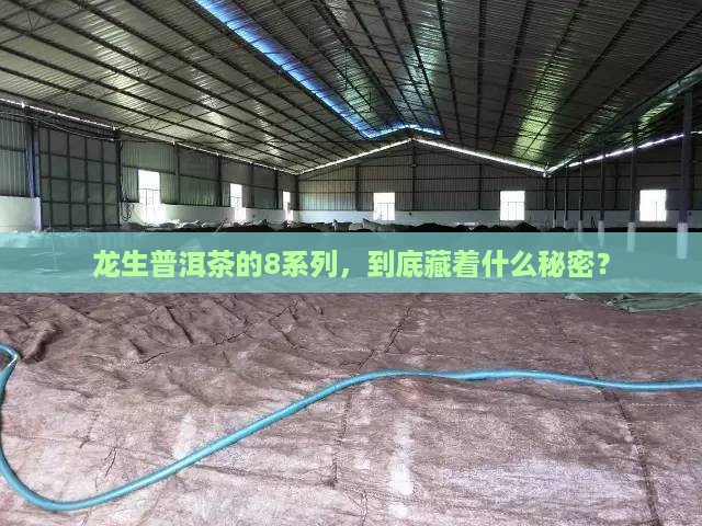 龙生普洱茶为什么8系列