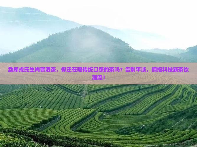 勐库戎氏生肖普洱茶