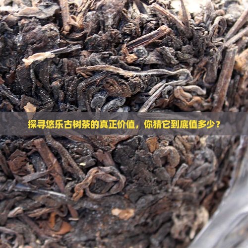悠乐古树茶价格