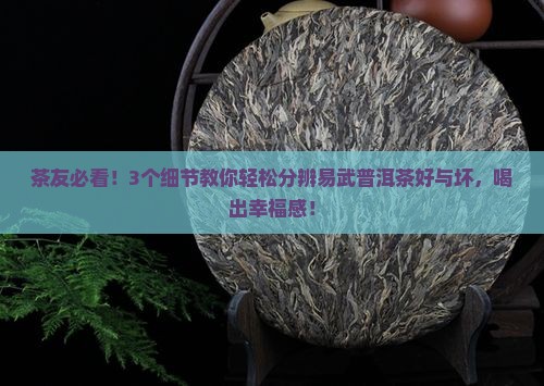 易武普洱茶品质特点
