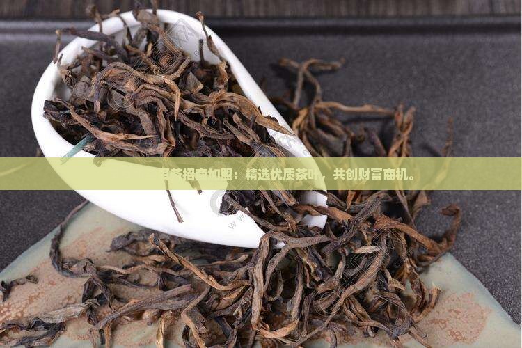 萍乡熟普洱茶招商加盟