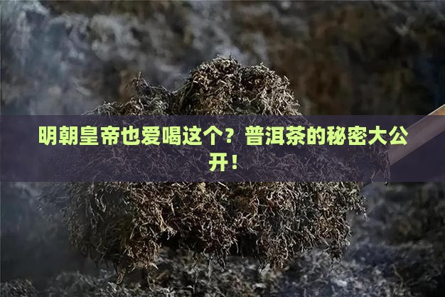 明朝皇帝喝的普洱茶