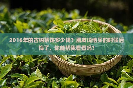 2016年古树茶普洱茶饼