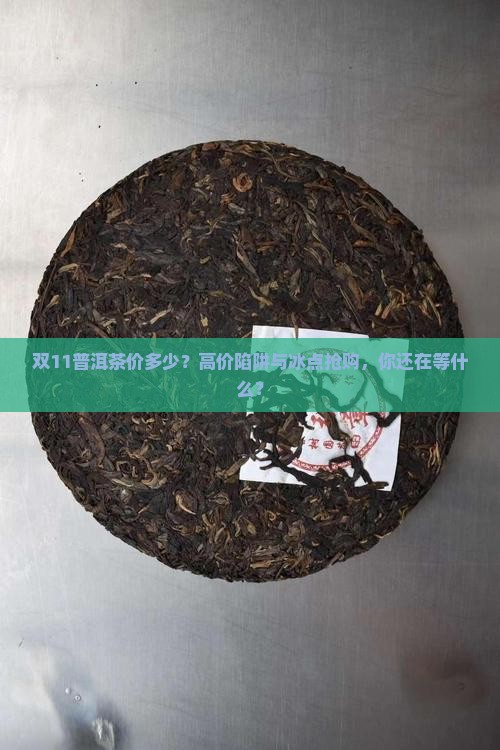 双11普洱茶价多少