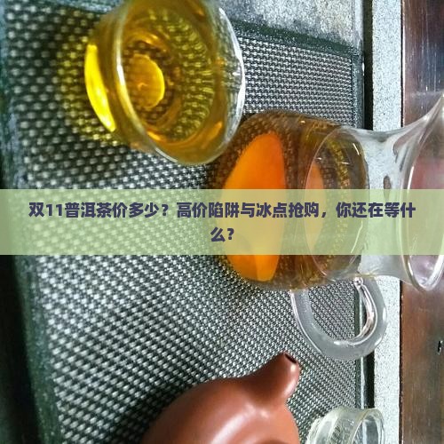 双11普洱茶价多少