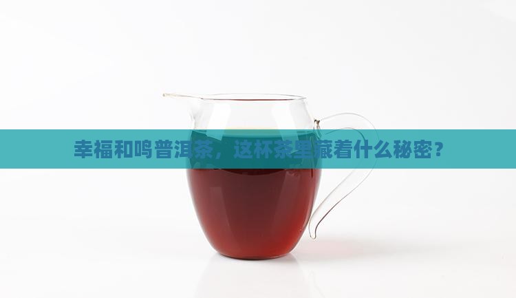 幸福和鸣普洱茶