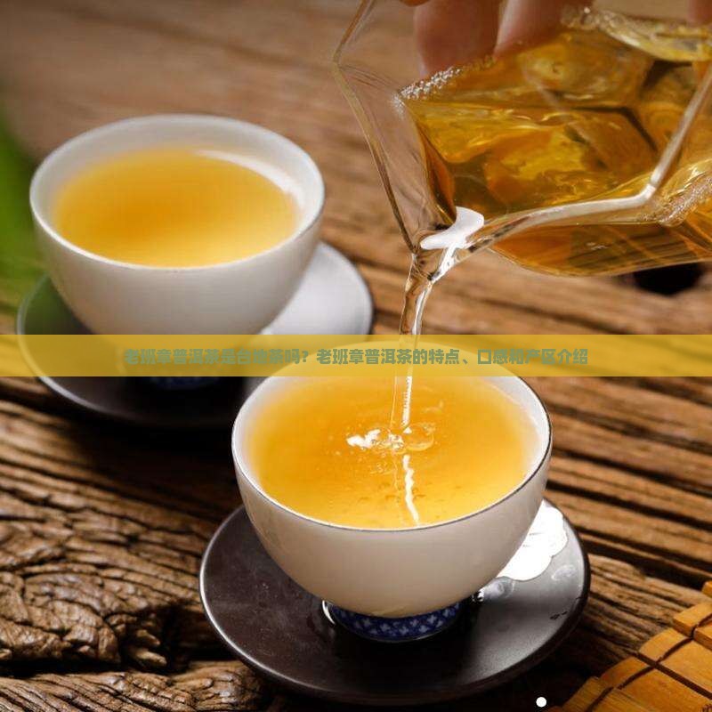 老班章普洱茶是台地茶吗
